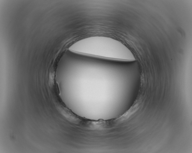 X0000112810188200908210946