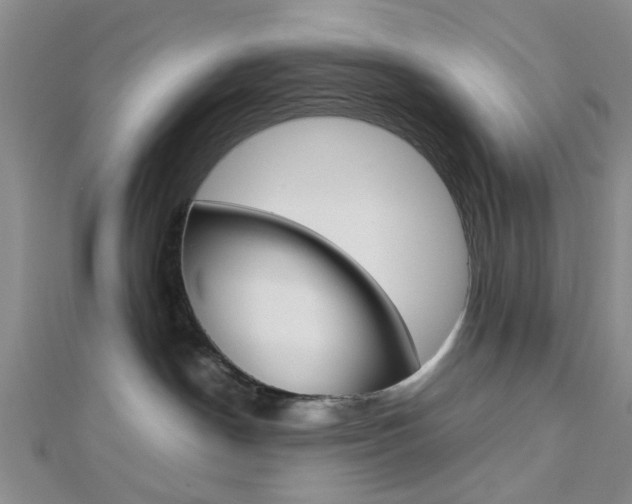 X0000112810190200908210946