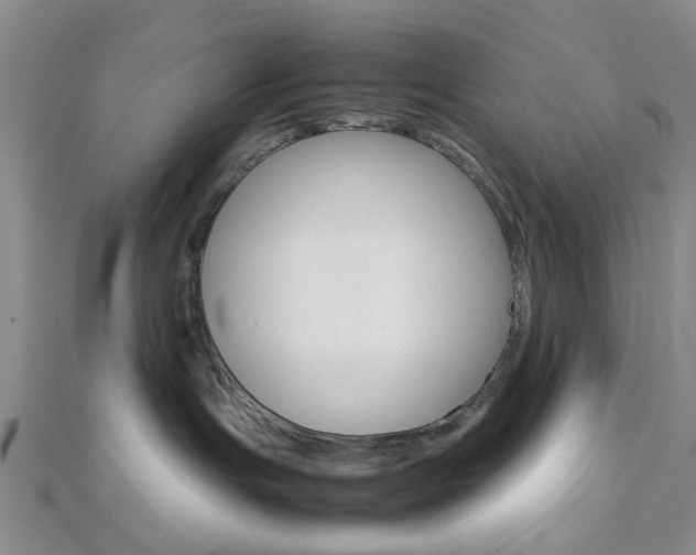 X0000112810191200908210946