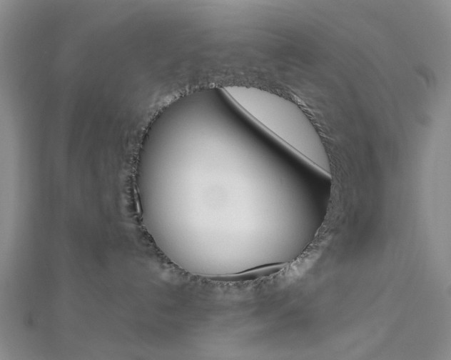 X0000112810192200908210946