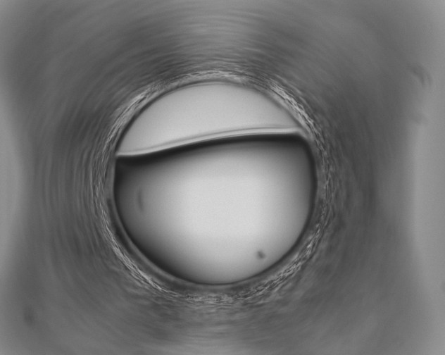 X0000112810193200908210945