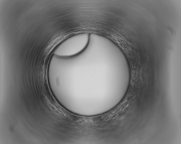 X0000112810194200908210945