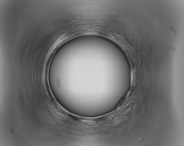 X0000112810195200908210945
