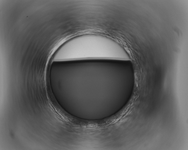 X0000112810196200908210945