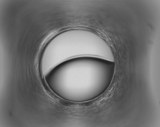 X0000112810197200908210945