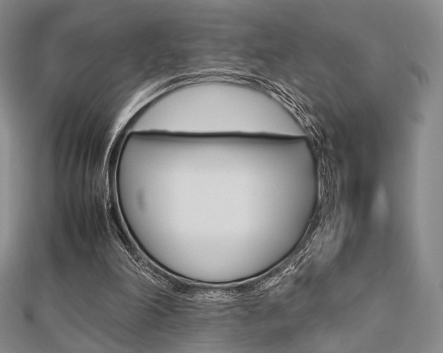 X0000112810198200908210945