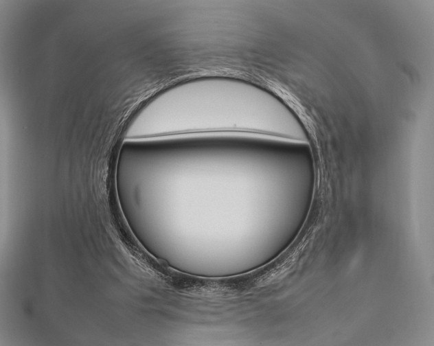 X0000112810201200908210945