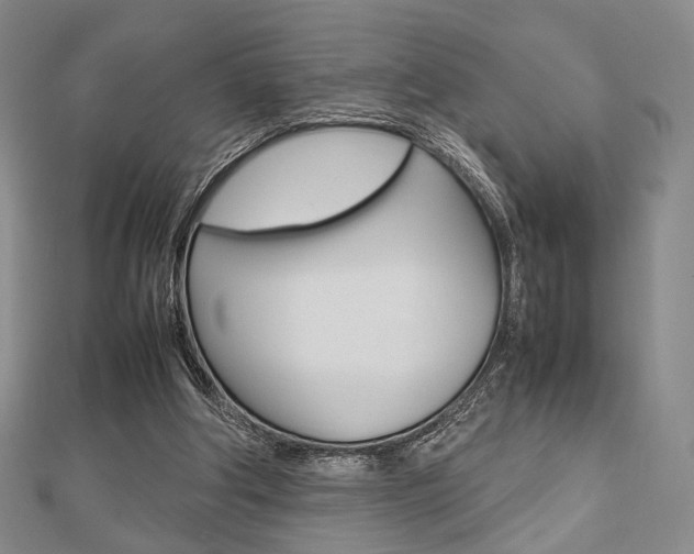 X0000112810202200908210945