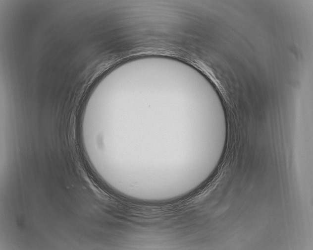 X0000112810205200908210945