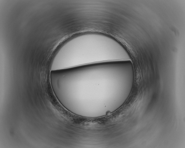 X0000112810208200908210945