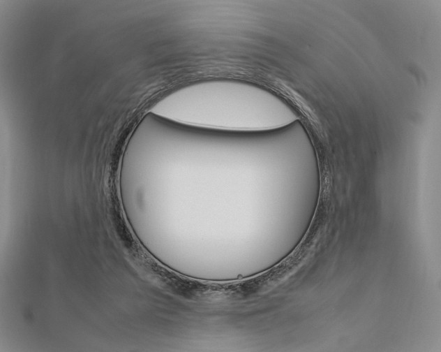 X0000112810209200908210945
