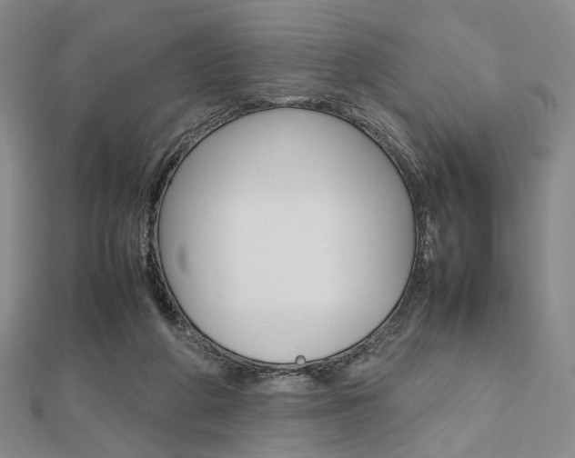 X0000112810210200908210945