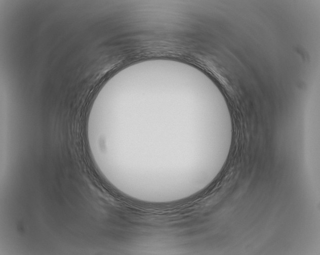 X0000112810211200908210945