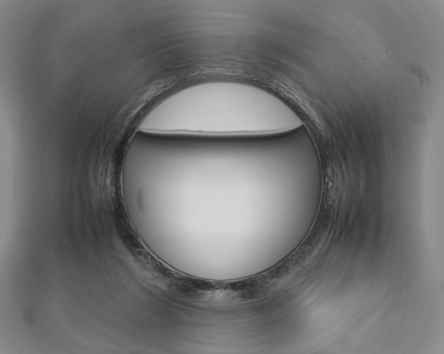 X0000112810212200908210945