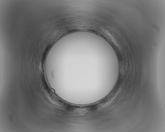 X0000112810213200908210945