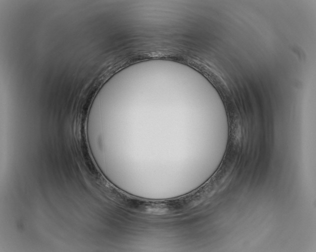 X0000112810214200908210945
