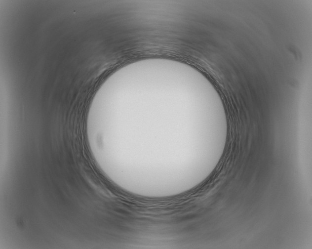 X0000112810215200908210945