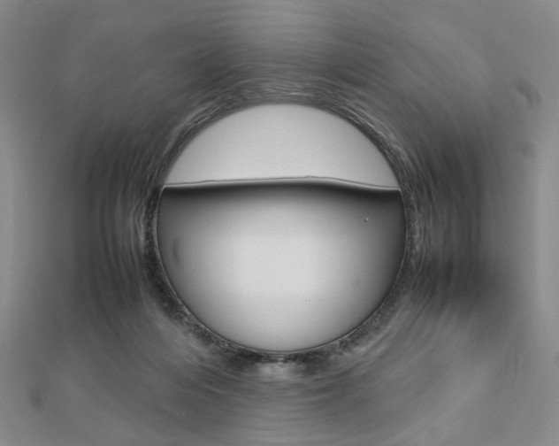 X0000112810216200908210945