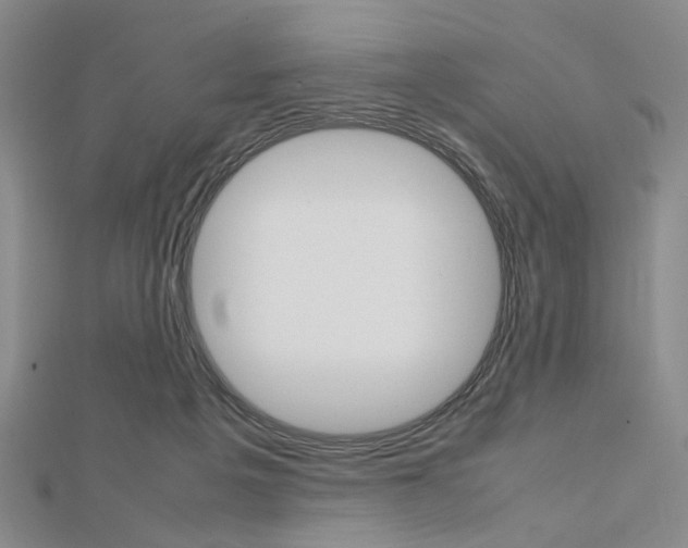 X0000112810217200908210945