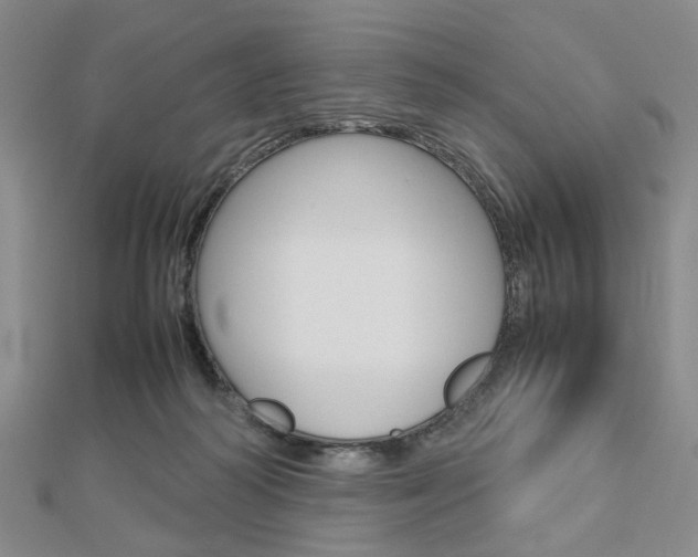 X0000112810218200908210945