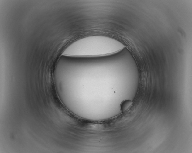 X0000112810220200908210945