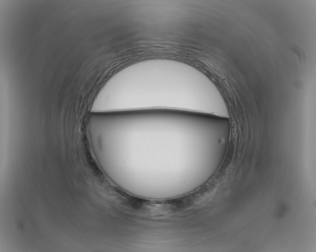 X0000112810221200908210945