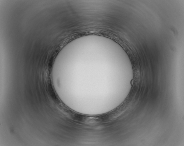 X0000112810222200908210945