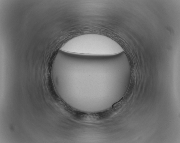 X0000112810223200908210945