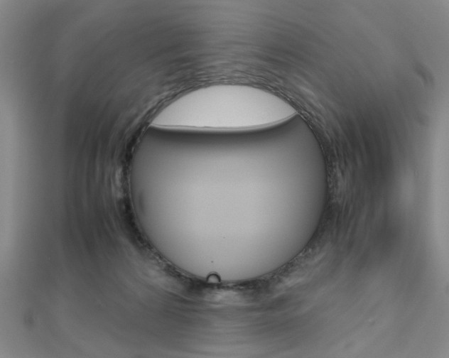 X0000112810224200908210945