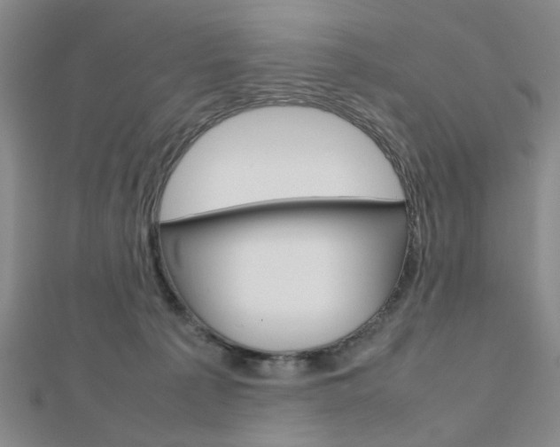 X0000112810225200908210945