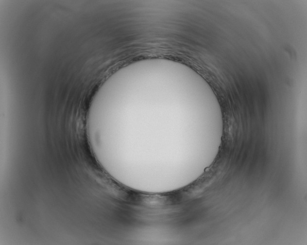 X0000112810226200908210945