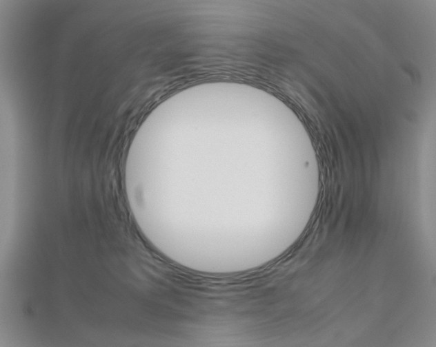 X0000112810229200908210945