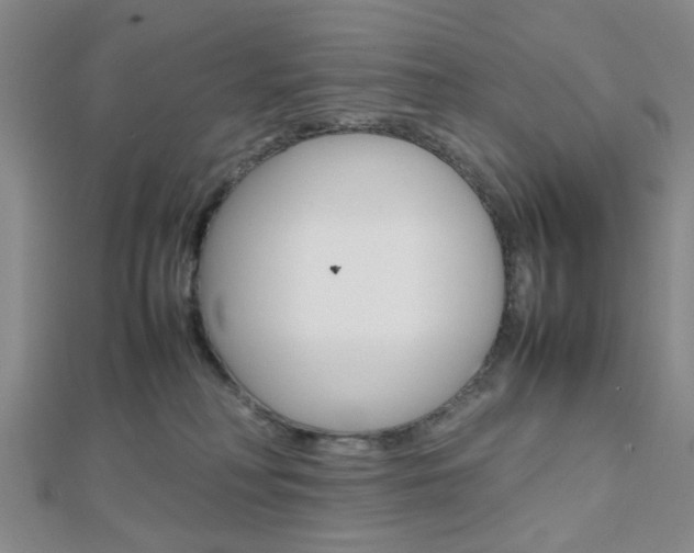 X0000112810230200908210945