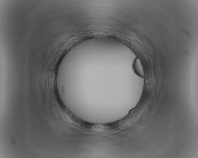 X0000112810231200908210945