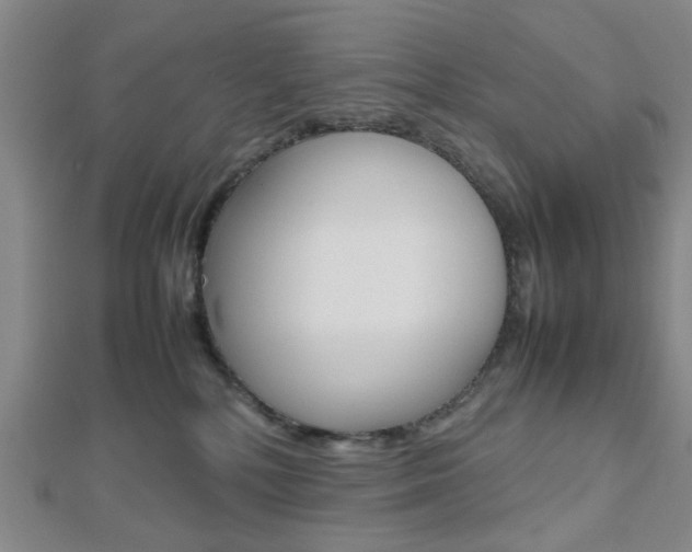 X0000112810232200908210945