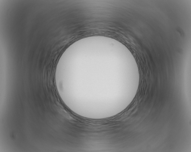 X0000112810235200908210945