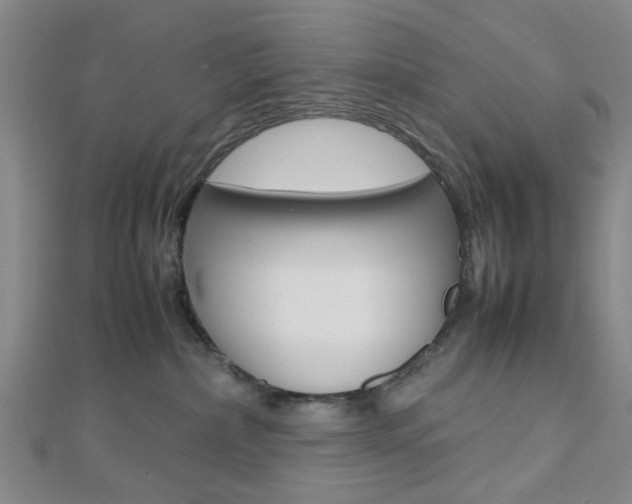 X0000112810236200908210945