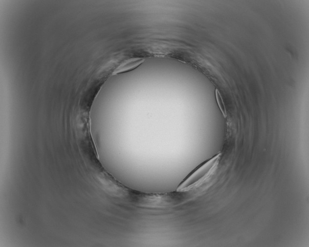 X0000112810237200908210945