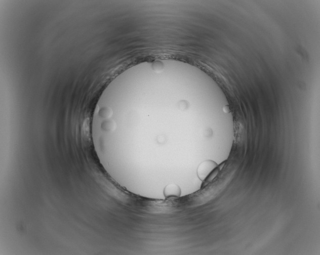 X0000112810238200908210945