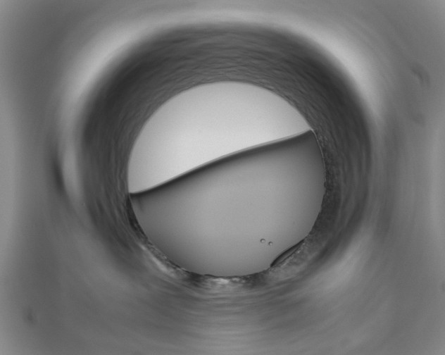 X0000112810239200908210945