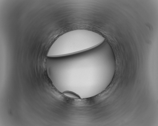 X0000112810240200908210945