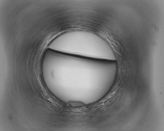X0000112810241200908210944