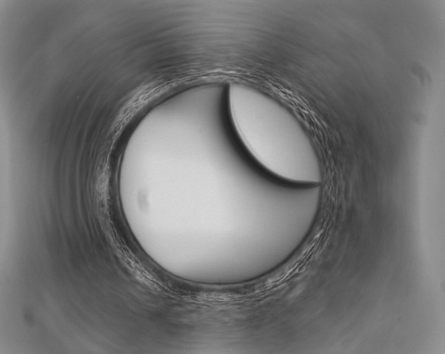 X0000112810242200908210944