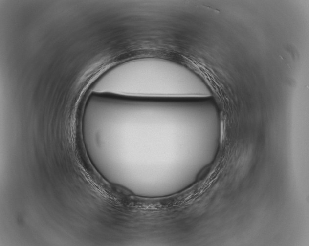 X0000112810243200908210944