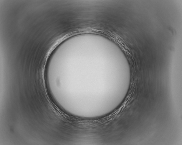 X0000112810244200908210944
