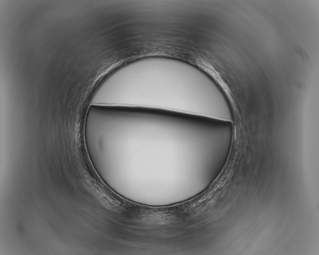 X0000112810249200908210944