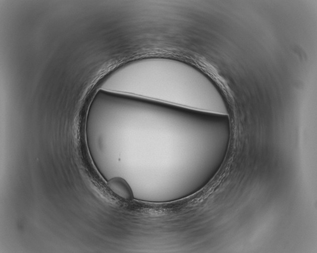 X0000112810250200908210944