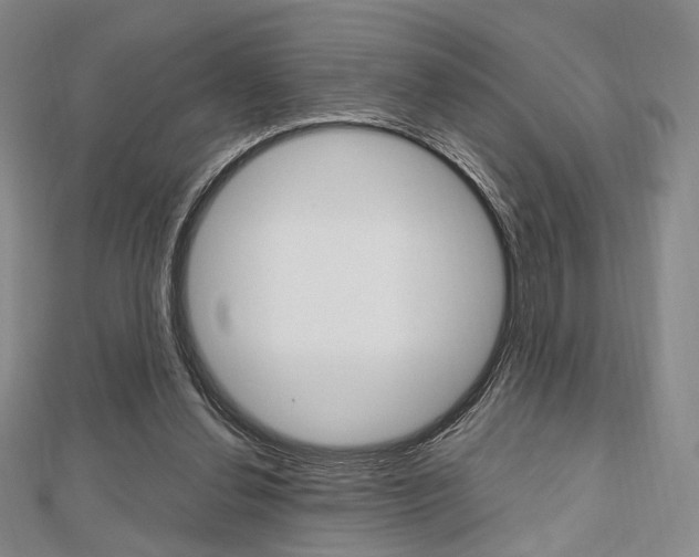 X0000112810252200908210944