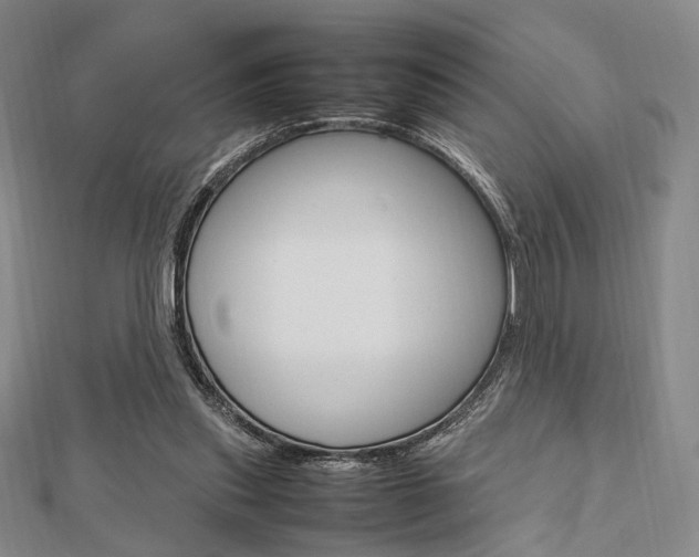 X0000112810253200908210944