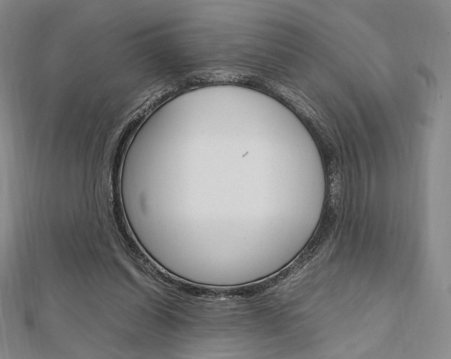 X0000112810254200908210944